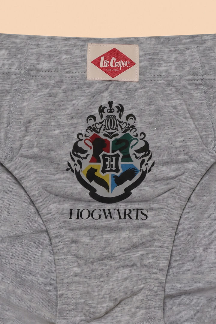 Lee Cooper Boys Harry Potter Briefs (Pack of 3) - Multicolor — image 4